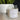 LOVE SPELL - THE WILD TIGER SOY CANDLE 20 OZ