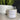 SALTED CARAMEL - THE WILD TIGER SOY CANDLE 20 0Z