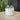 Coconut Lime Verbena - The Wild Tiger Soy Candle 20 oz
