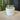 Bluebonnet - The Wild Tiger Soy Candle 20 oz