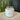 Pomegranate Bitters | The Wild Tiger Soy Candles 20oz