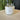 Sea Salt + Orchid - The Wild Tiger Soy Candle 20 oz